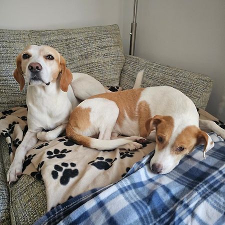 Double Bedroom Located Close To Manchester Airport Уидъншоо Екстериор снимка